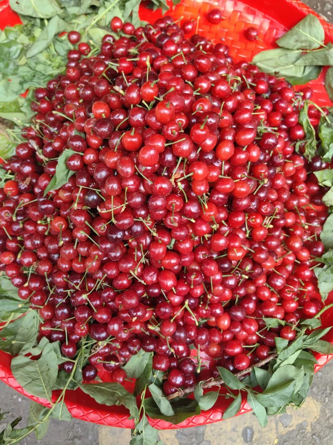 4月份|逛一逛凤庆的农贸市场