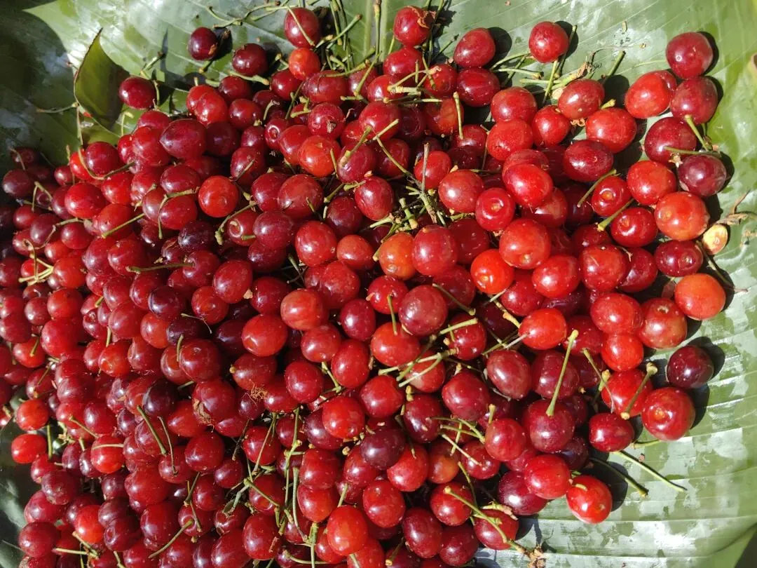 4月份|逛一逛凤庆的农贸市场