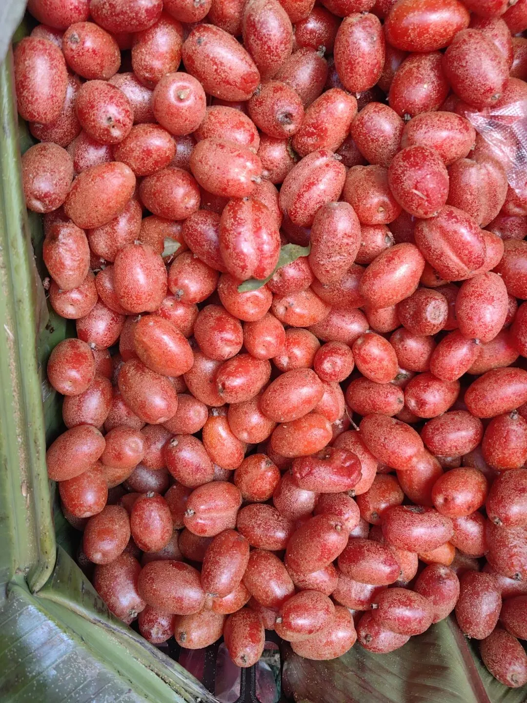 4月份|逛一逛凤庆的农贸市场