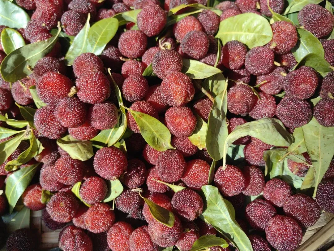 4月份|逛一逛凤庆的农贸市场