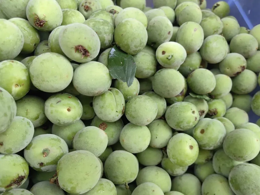 4月份|逛一逛凤庆的农贸市场