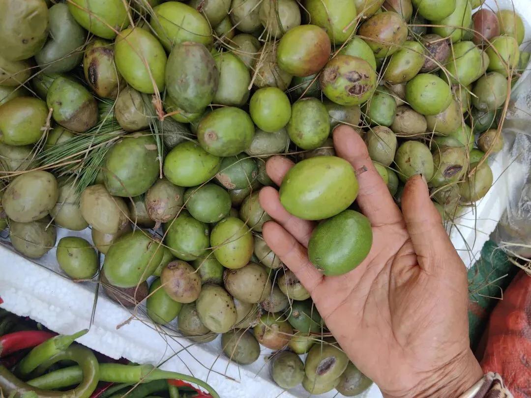 4月份|逛一逛凤庆的农贸市场