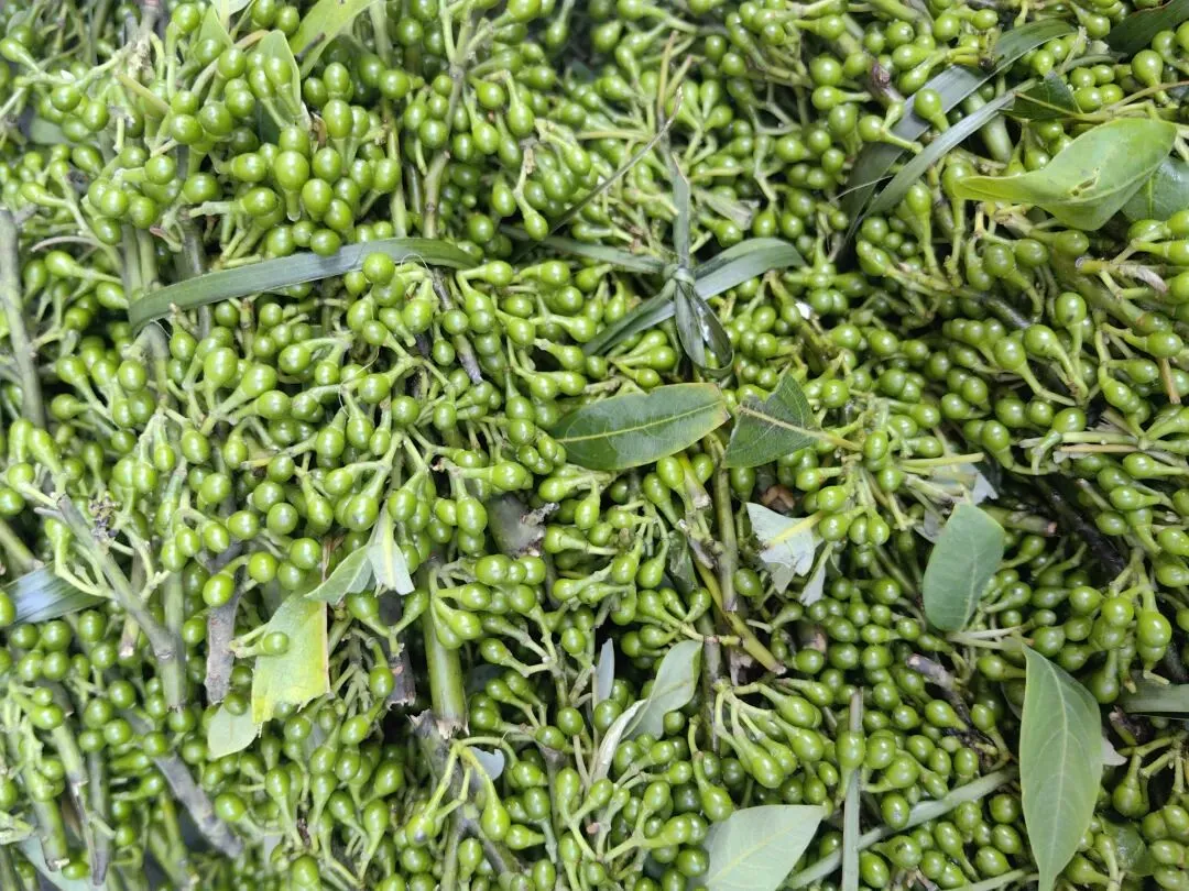 4月份|逛一逛凤庆的农贸市场