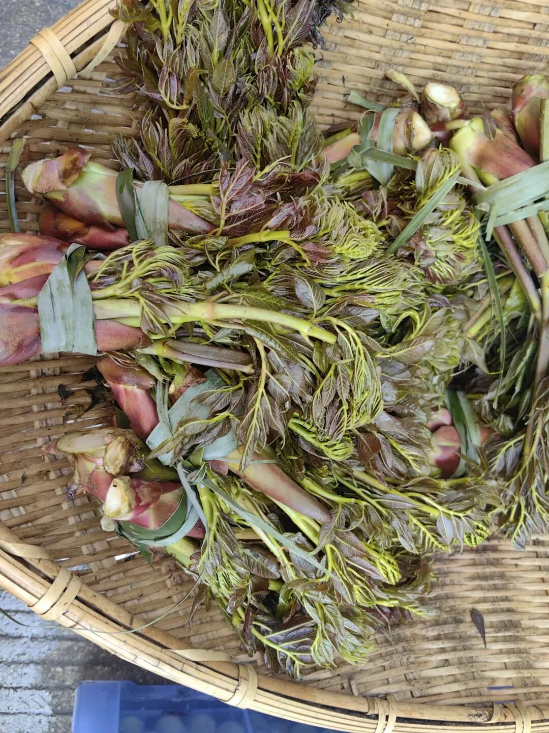 4月份|逛一逛凤庆的农贸市场