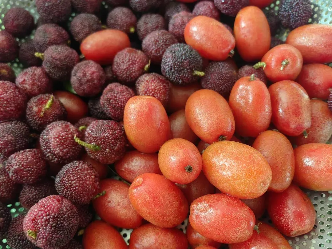 4月份|逛一逛凤庆的农贸市场