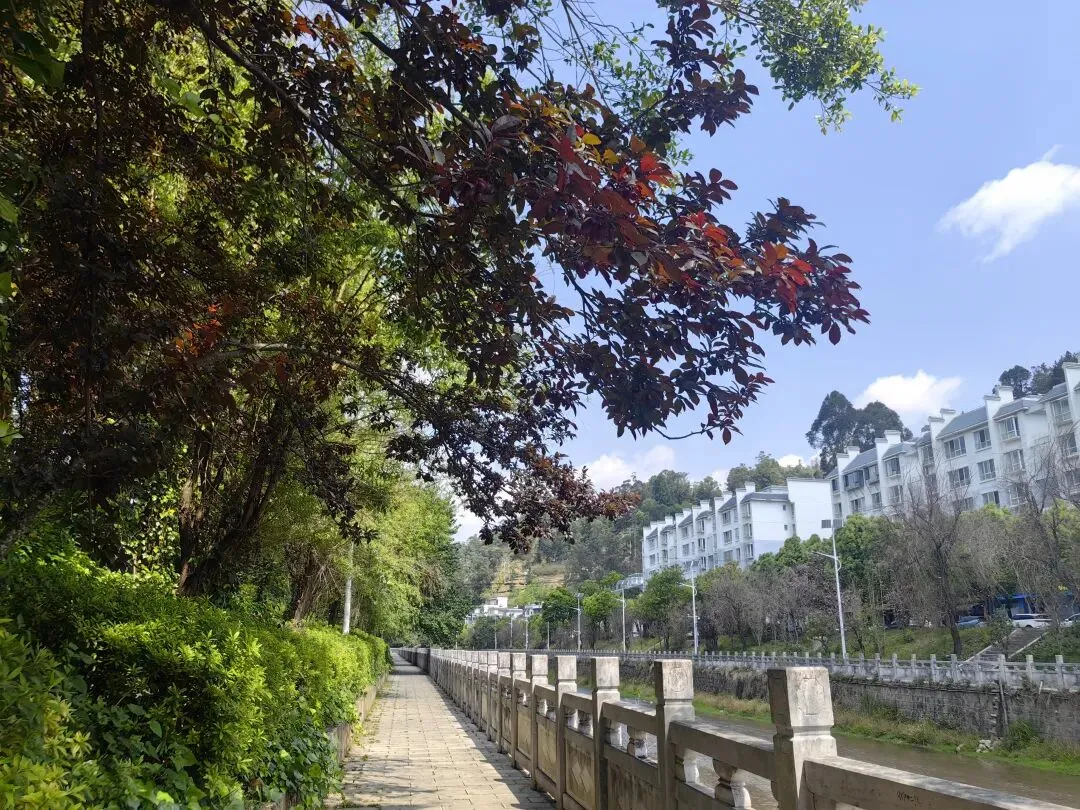 4月份|逛一逛凤庆的农贸市场