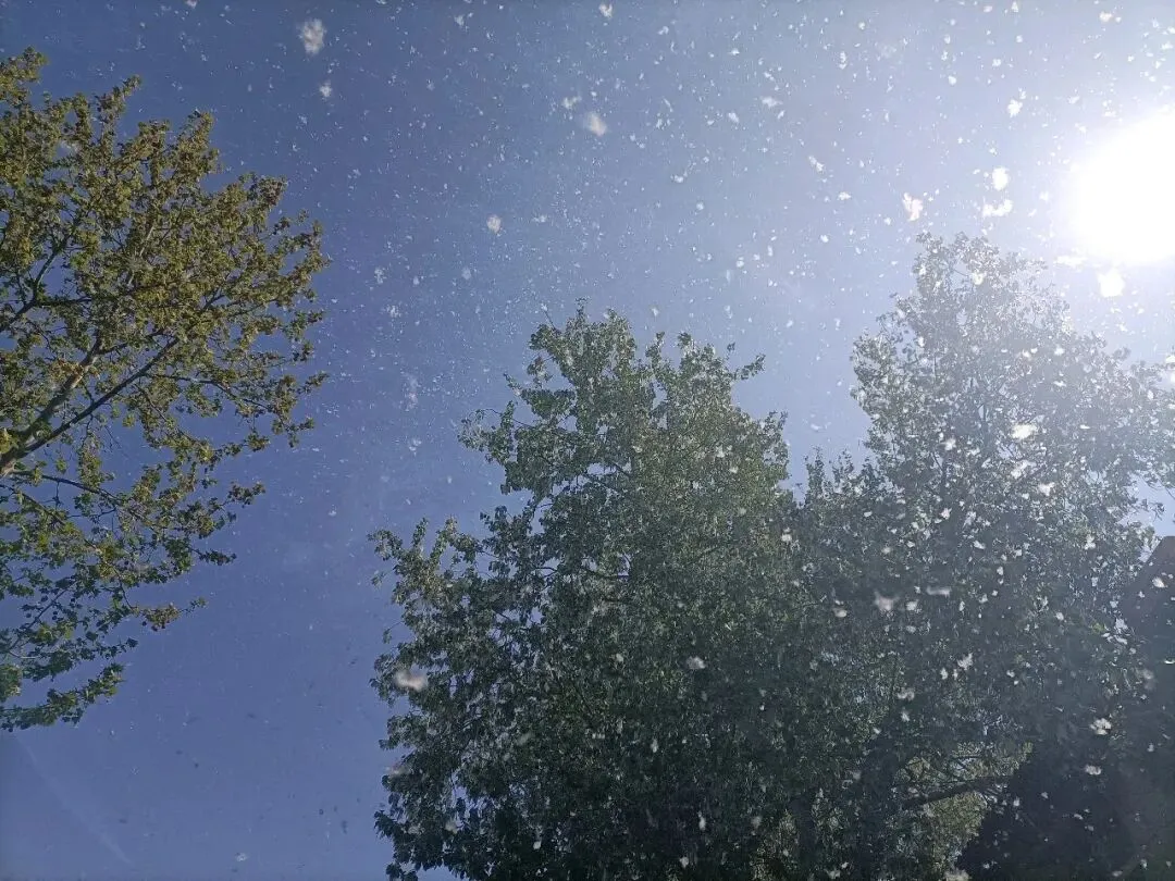 营销造富练功day 2