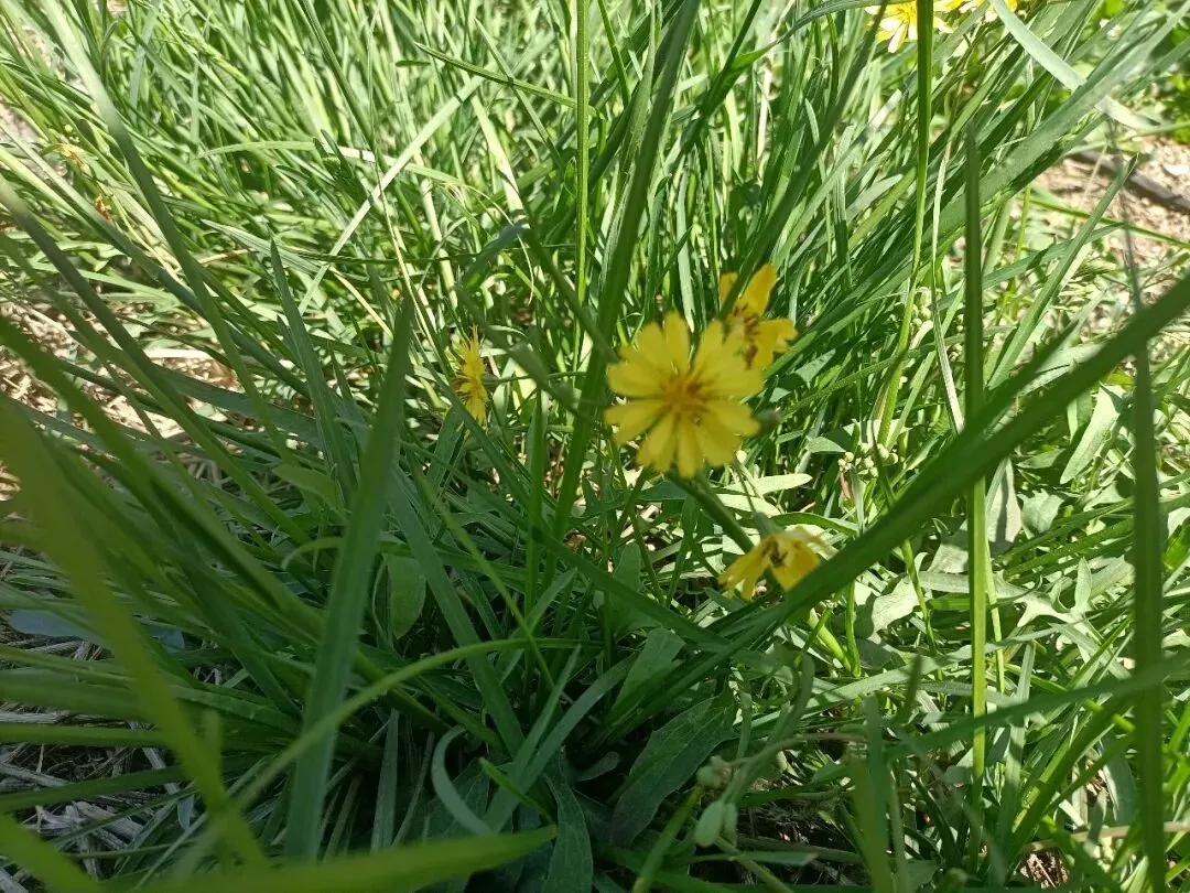 营销造富练功day 2