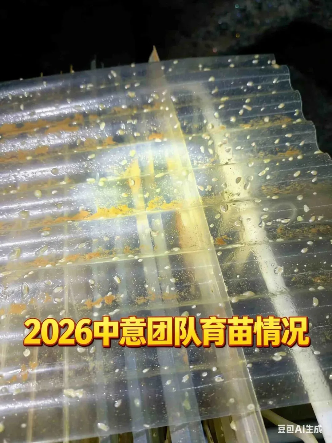 2026 海参收货潮来袭!南北市场同步涨价,全行业进入上行周期
