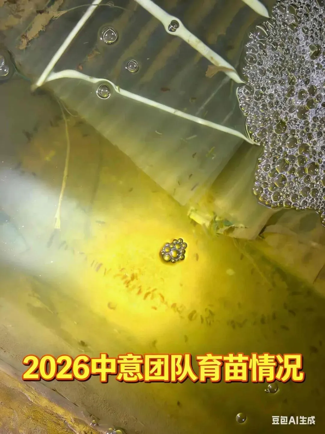 2026 海参收货潮来袭!南北市场同步涨价,全行业进入上行周期