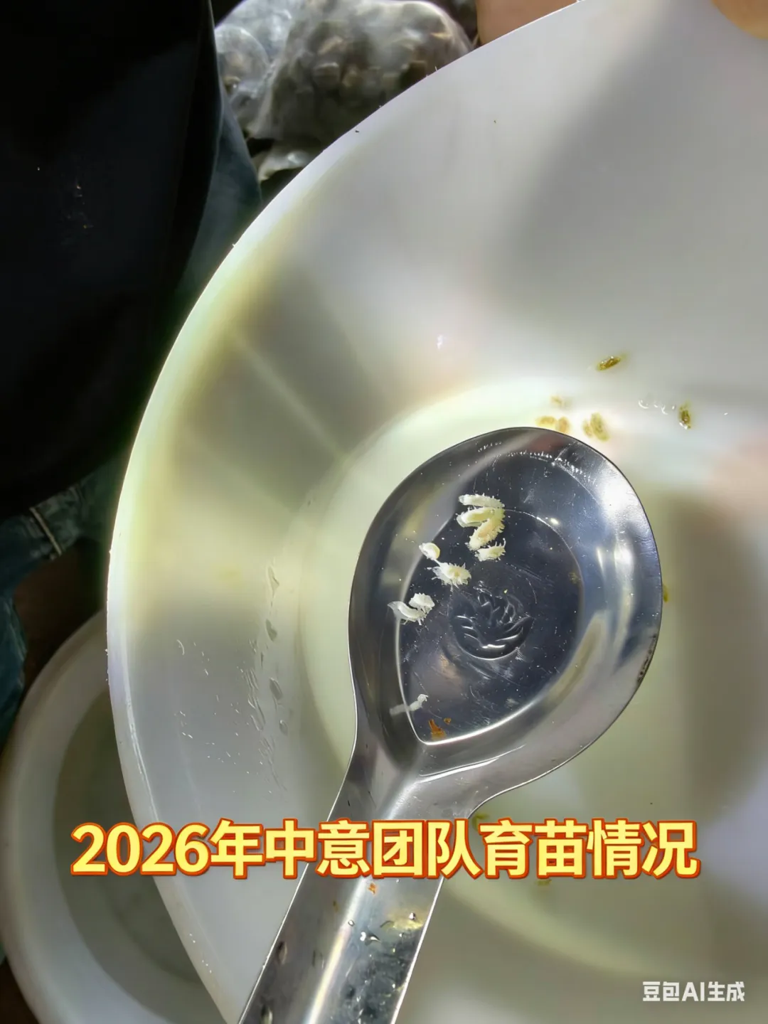 2026 海参收货潮来袭!南北市场同步涨价,全行业进入上行周期