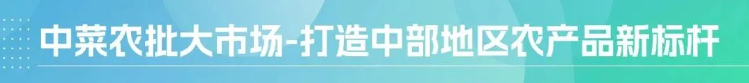 郑州重磅新消息!这座农批大市场落成,或将改写河南农批格局!