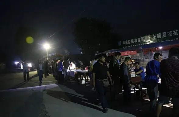 河南蟋蟀交易市场:仅次于山东的核心产区