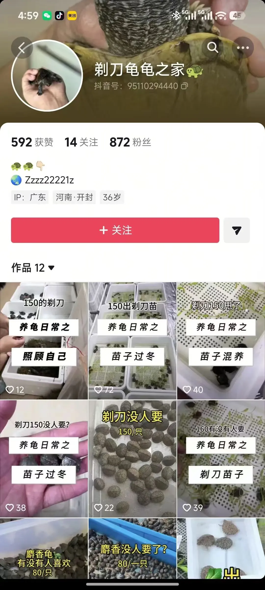 现在的市场行情任何蛋龟苗都是硬通货 没人会低价贱卖!