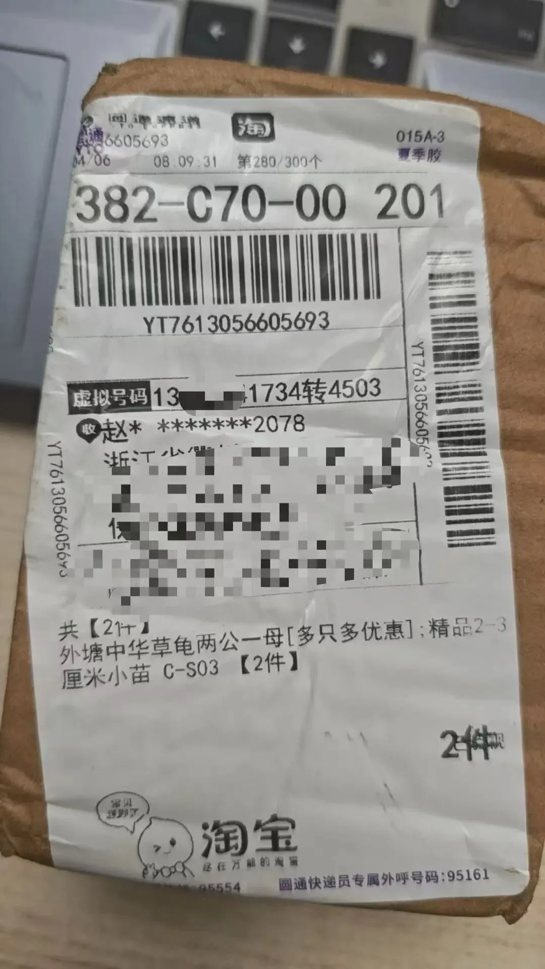 现在的市场行情任何蛋龟苗都是硬通货 没人会低价贱卖!