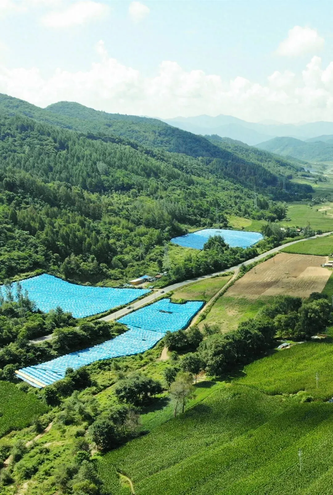 抗皱市场的“成分迷思”与修庄的“参”度答案