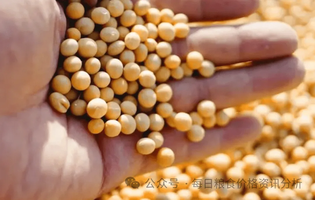 大豆豆油市场下周(2026年4月13日-2026年4月19日)预测:大豆稳字当头 豆油弱势盘整