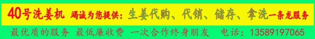 04月12日昌邑各市场生姜价格参考