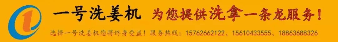 04月12日昌邑各市场生姜价格参考