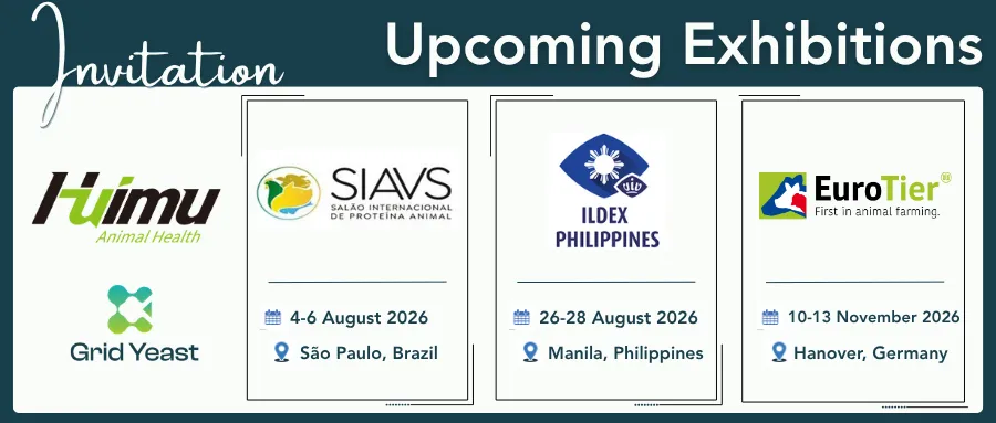 招聘外贸业务经理|邀你直面全球市场,快速成长!