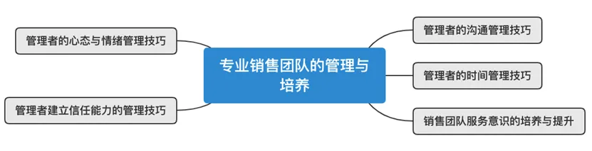 专业销售团队的管理与培养