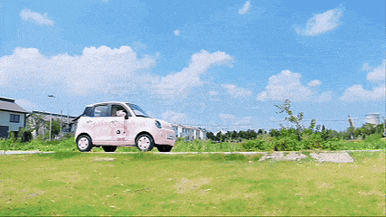 捷报!金彭小毛豆首发引爆市场,全平台累计曝光突破600万+!