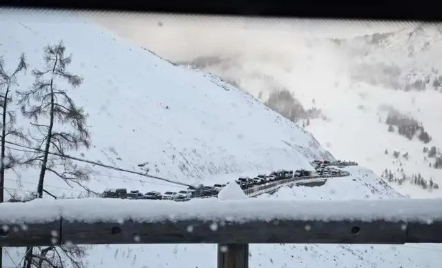 【VIP文章预告】2026年汽车市场趋势:利用创新于动荡中创造机遇