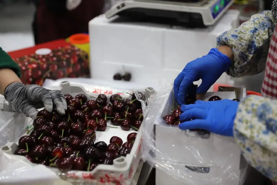 【市场新闻】 “热土·领航”乡村振兴公益计划三期班莅临北京新发地考察交流