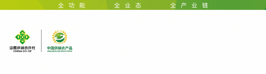 【4月12日】丰县市场“菜篮子”价格公示