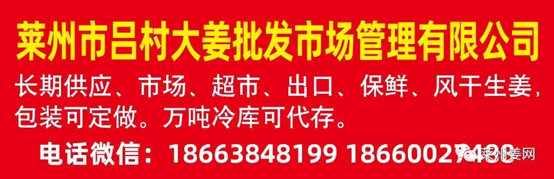 4月12日莱州吕村大姜市场