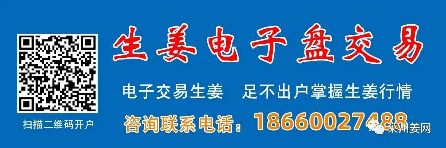 4月12日莱州吕村大姜市场