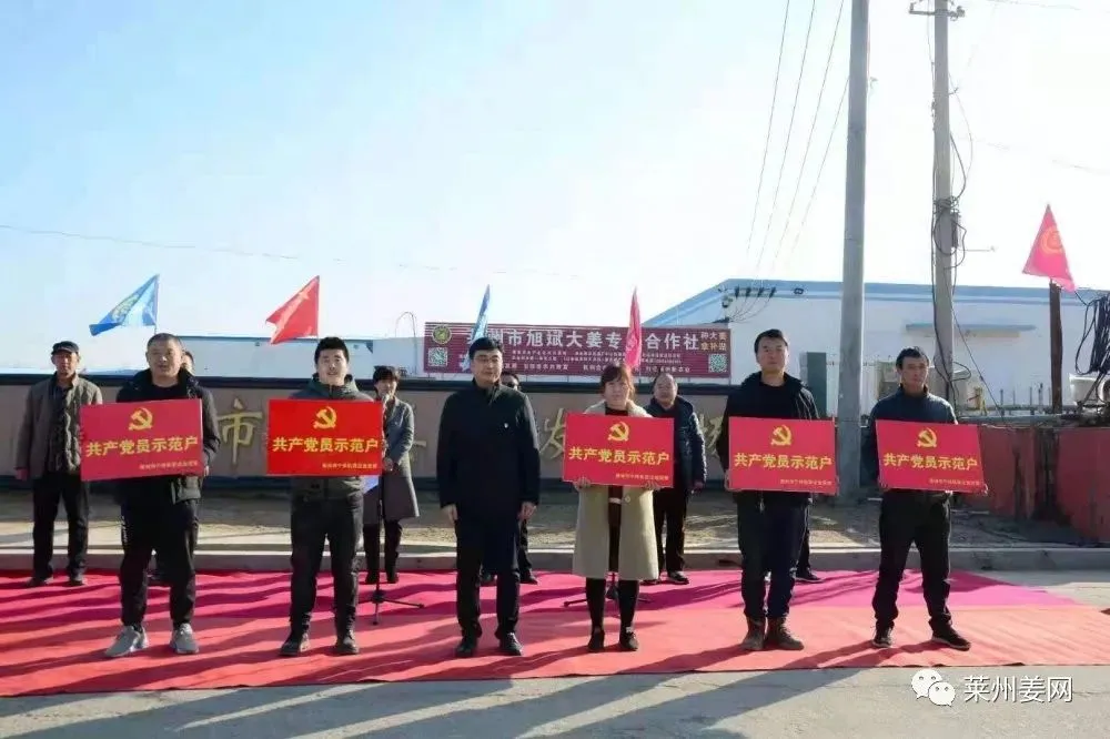 4月12日莱州吕村大姜市场