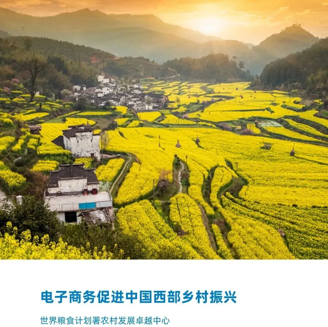 广告营销行业:钛动科技,Agent驱动营销智能化,港股IPO启动(附下载)