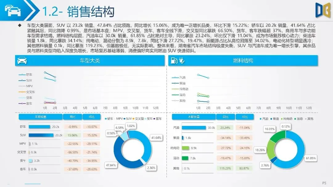 湖南省汽车市场分析报告-39页(附下载)