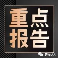 湖南省汽车市场分析报告-39页(附下载)