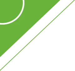 订单销全国!阆中石菖蒲种苗走俏市场