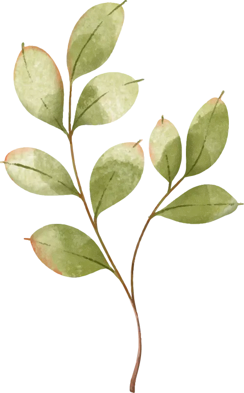 HUTB新力量丨看她如何多元打开“市场营销”️