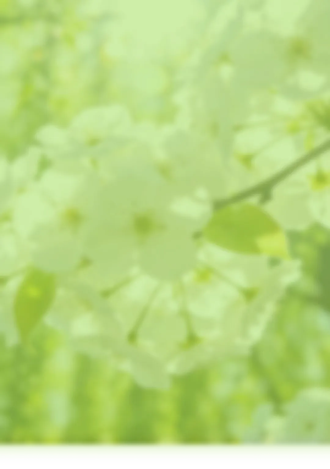 春日营销新范式:从 ＂限定款＂ 到 ＂叙事营销＂,2026 品牌如何讲好春天的故事?