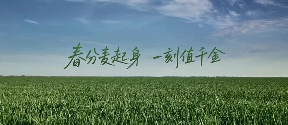 春日营销新范式:从 "限定款" 到 "叙事营销",2026 品牌如何讲好春天的故事?