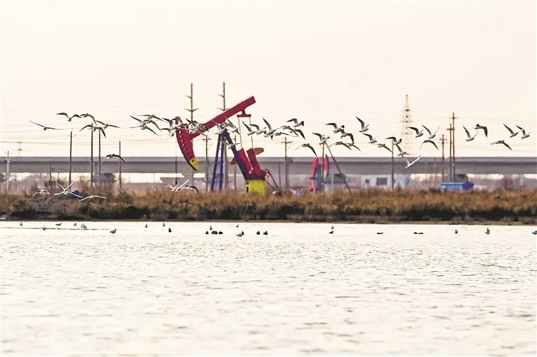 中国石油临沧销售公司|周刊