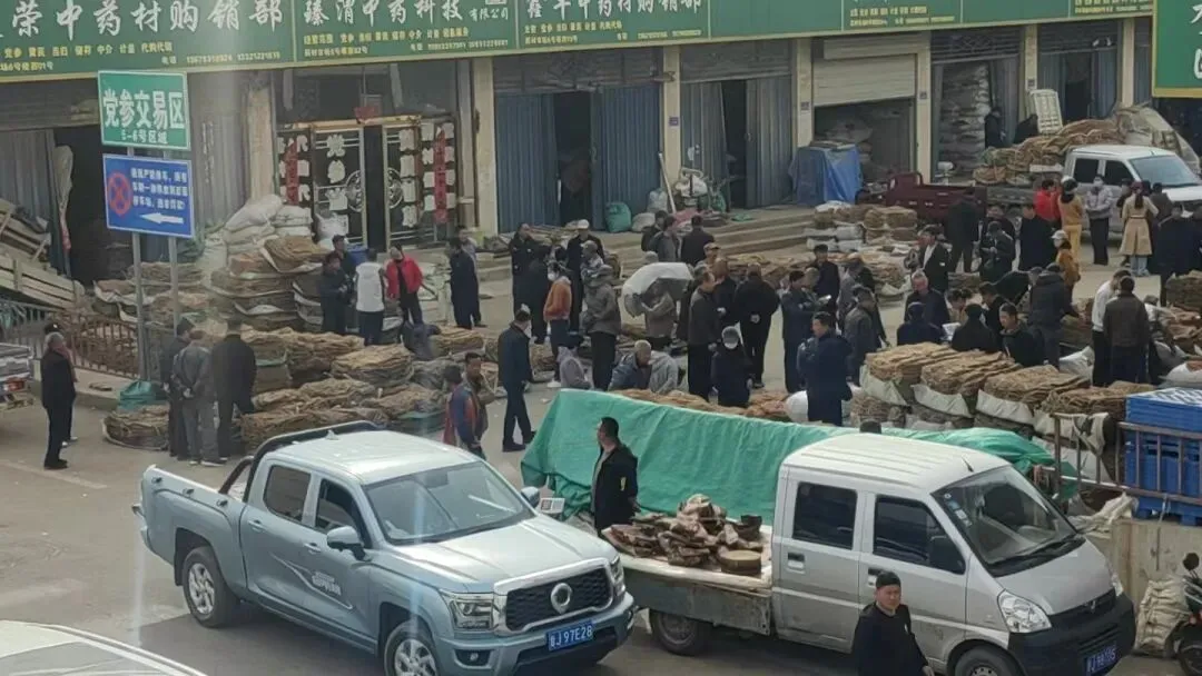 2026年4月12日渭源中药材市场快讯