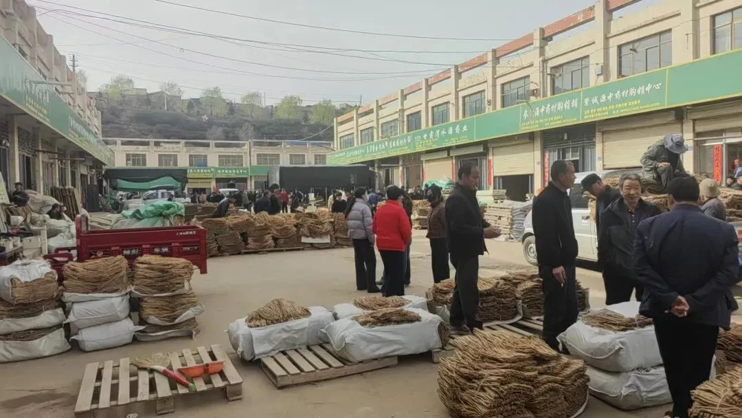 2026年4月12日渭源中药材市场快讯