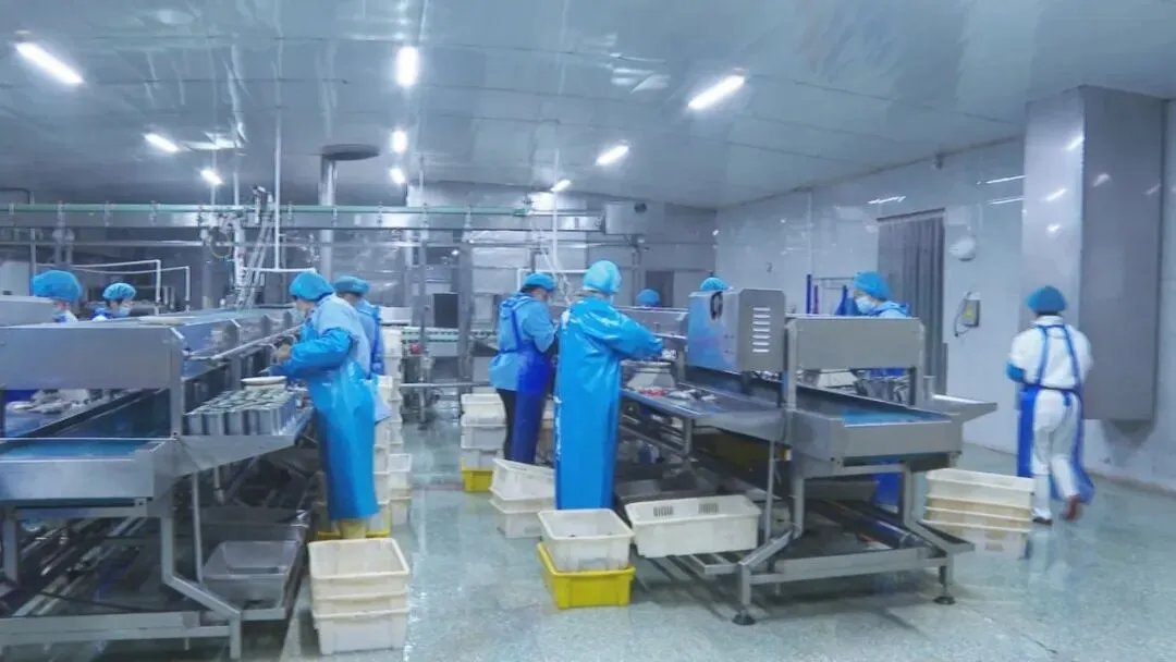 鑫河食品:小罐头闯开海外大市场