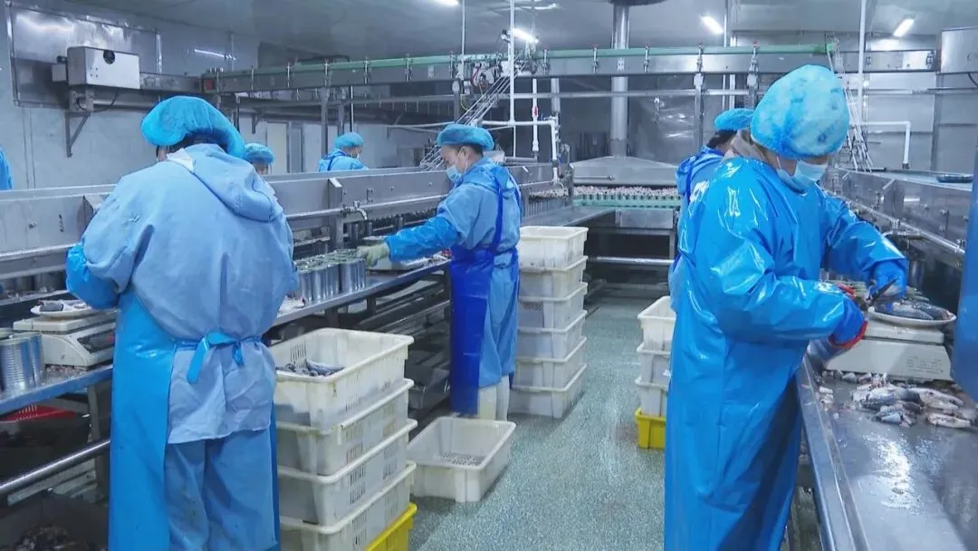 鑫河食品:小罐头闯开海外大市场