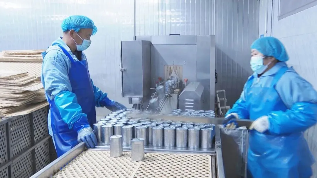 鑫河食品:小罐头闯开海外大市场