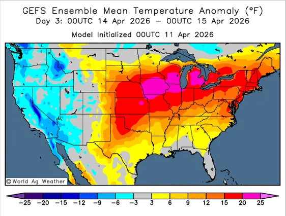 豆系市场周度分析:多空因素交织,聚焦核心驱动变量