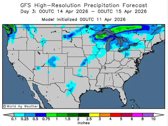 豆系市场周度分析:多空因素交织,聚焦核心驱动变量