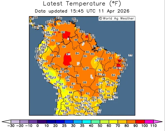 豆系市场周度分析:多空因素交织,聚焦核心驱动变量