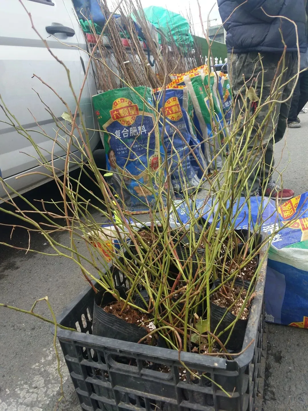 去了一趟旧物市场,没买到要买的东西,却让我喜出望外