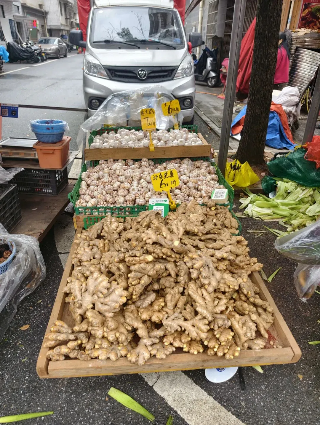 每周必逛-月亮岛西湘江农贸市场